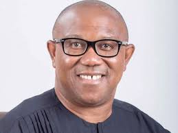 PETER OBI'S ROMANCE WITH NORTH RAISES 2027 PERMUTATIONS -THE GUARDIAN