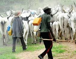 AGAIN, HERDSMEN ATTACK NIMBO, ENUGU STATE, MANY KILLED, OTHERS INJURED: PETER OBI MOURNS
