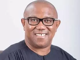 WHEN DID OFFICE OF NSA BECOME REVENUE COLLECTOR? - PETER OBI