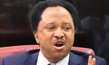 MINIMUM WAGE: NO WORKER CAN SURVIVE ON LESS THAN N100,000 - SHEHU SANI