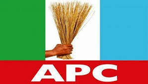 ONDO GUBER: APC DIDN'T HOLD PRIMARY - INEC