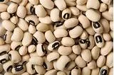 PRICE OF BEANS CRASHES BY OVER 100 PERCENT