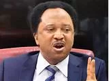 AWUJALE: PRACTICE OF EATING DEAD KING'S HEART MUST STOP - SHEHU SANI