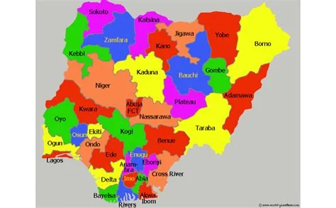 NIGERIA IS DEAD! BY BAYO OLUWASANMI