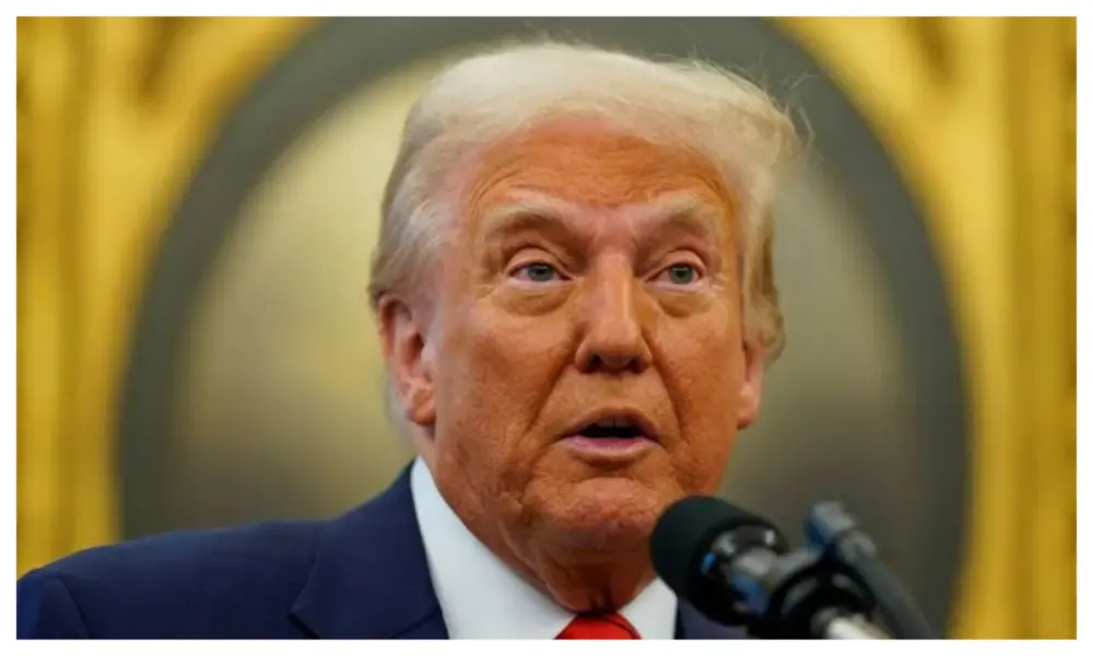 TINUBU’S ADVISER CALLS DONALD TRUMP ‘MENTALLY DISORDERED’, DARES US PRESIDENT TO REVOKE VISA ON LIVE TV