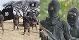 TERRORISTS BECOMING MORE DARING, BOMB NIGER BRIDGE TO SLOW DOWN TROOPS OPERATION
