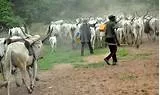 HERDSMEN OVERRUN FARM SETTLEMENTS, OCCUPY HOMES, SCHOOLS IN ENUGU'S EHA-AMUFU 1 th 18