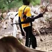 20,300 KILLED IN SOUTH EAST BY HERDSMEN ATTACKS - INTER-SOCIETY 1 th 81 6