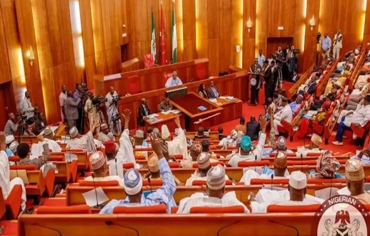 SENATE REJECTS VAT INCREASE, PASSES TWO TAX REFORM BILLS 1 Senate Nigeria 2 1