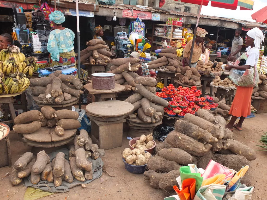 FG RAISES ALARM OVER FOOD INSECURITY, SAYS 161 MILLION NIGERIANS ON DANGER LIST 1 bodija market
