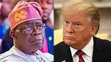 TRUMP CAN EMBARRASS TINUBU — EX-NIIA DG SPEAKS ON ABSENCE AT UN GENERAL ASSEMBLY 1 OIP 45