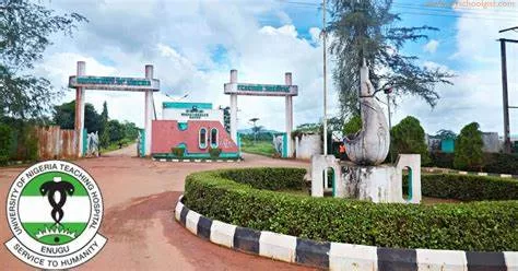UNN TO SANCTION REGISTRAR FOR LYING THAT EX-MINISTER, UCHE NNAJI, GRADUATED IN 1985 1 OIP 49