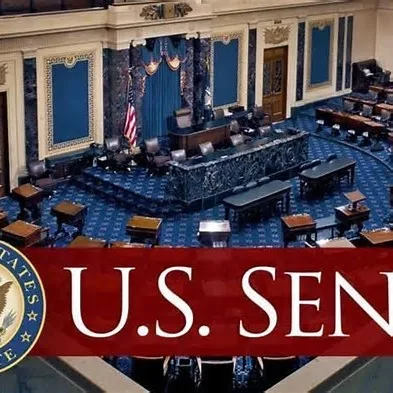 US SENATE PUSHES NEW BILL TARGETING NIGERIAN GOVERNORS, JUDGES, SECURITY CHIEFS 1 th 18