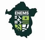 SEVERAL PASSENGERS DEAD AS MASSIVE TREE FELL ON MOVING 18-SEATER BUS IN ENUGU 1 OIP 96