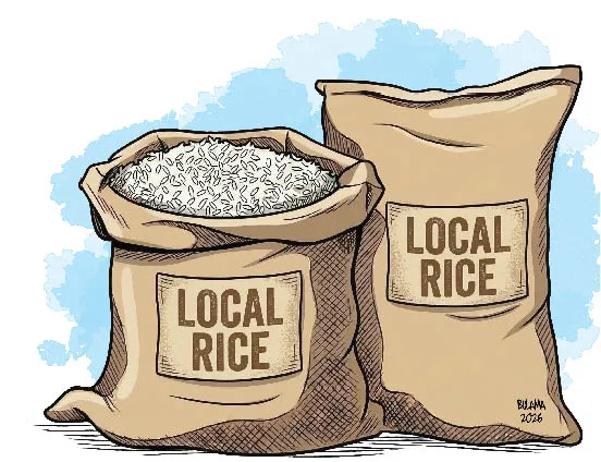 NIGERIAN RICE SECTOR ON VERGE OF TOTAL COLLAPSE  OCCASIONED BY IMPORTATION