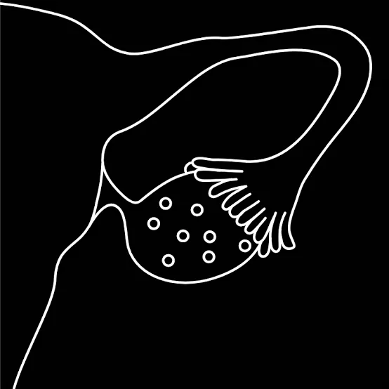 NIGERIAN GIRLS ARE SELLING THEIR EGGS TO SURVIVE