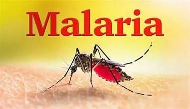 WHY MANY PEOPLE THINK THEY HAVE MALARIA WHEN THEY DON’T