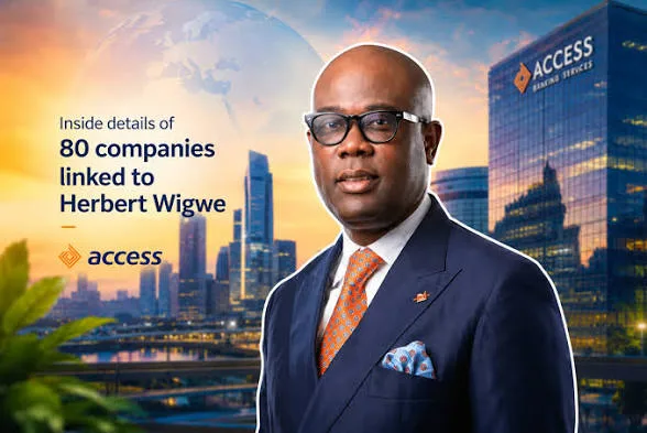 80 COMPANIES LINKED TO HERBERT WIGWE ACROSS 20 COUNTRIES