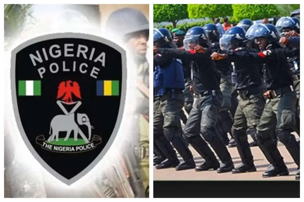 POLITICIZATION MAJOR OBSTACLE TO STATE POLICE – EXPERTS WARN