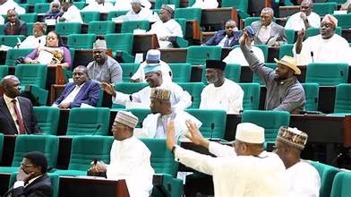 98 HOUSE OF REPS LAWMAKERS FAIL TO SECURE TICKET