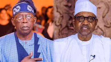 BUHARI SAW TINUBU AS ‘BAD NEWS’, RESISTED HIS PRESIDENCY – BABA-AHMED